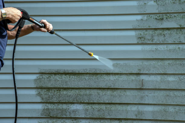 Best Sidewalk and Walkway Cleaning  in Pine Grove, PA